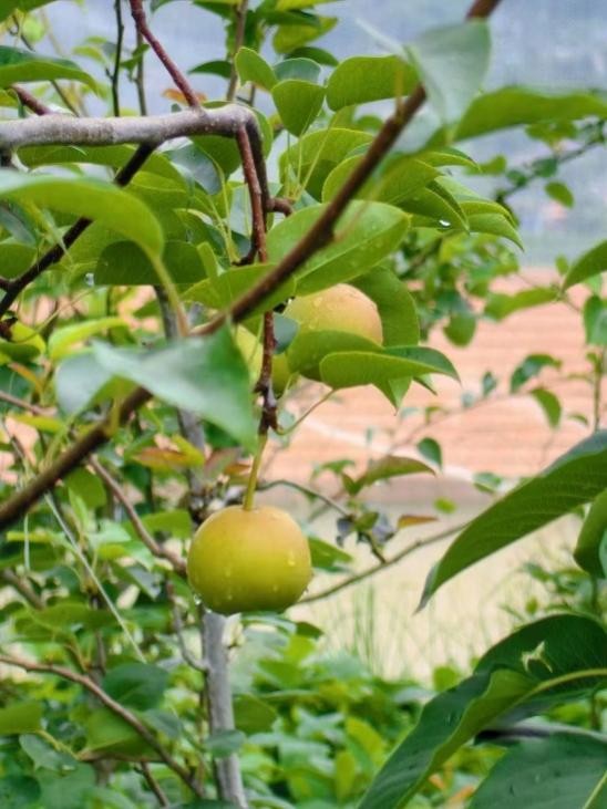 ־ഺcͬС ϴWd`F hldRL{D