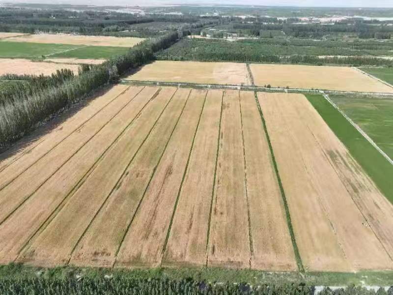 ľWrWԺ޿hС|{ЈF_չ`