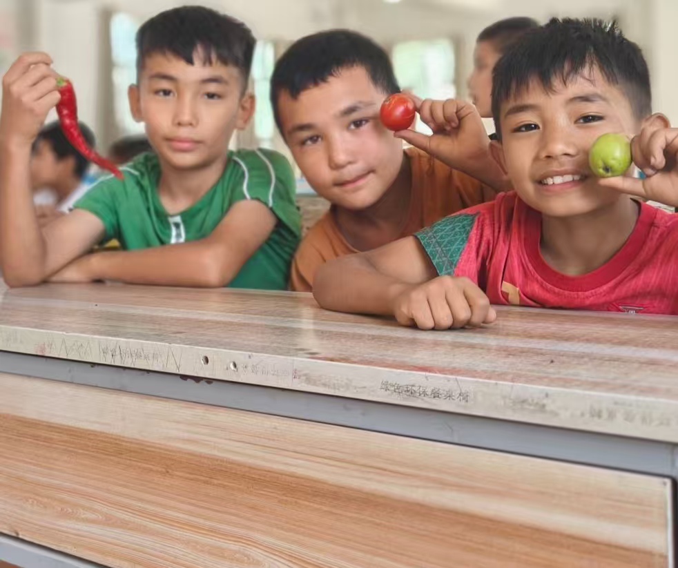 ۡԡۡȣL(ji)ZL(fng)СľW(xu)áZšvF(tun)