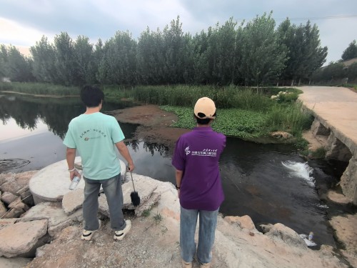 ɽ|WL`FLˮλ׃wildܴa