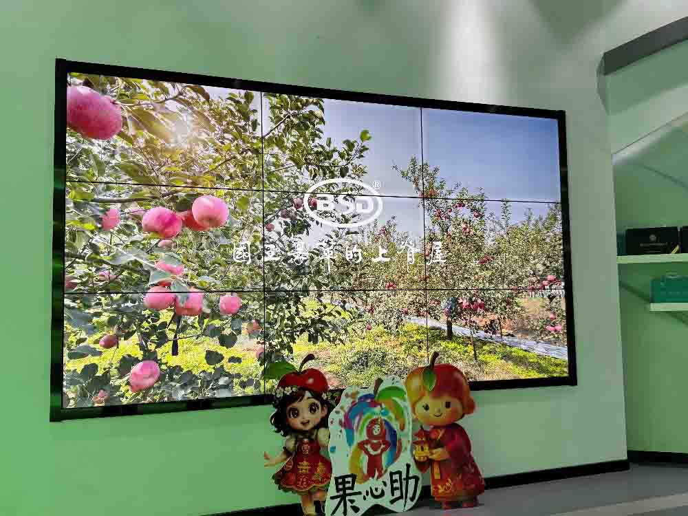 _WWԺˇİrd`꠸_Зϼ_չ{л