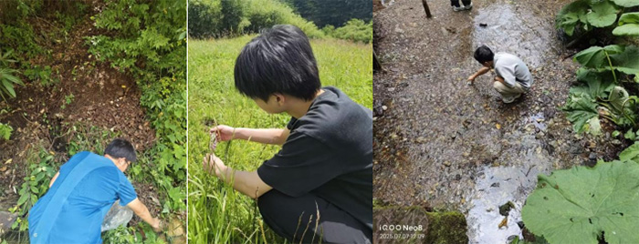 r(nng)֮УഺaȻB(ti)n