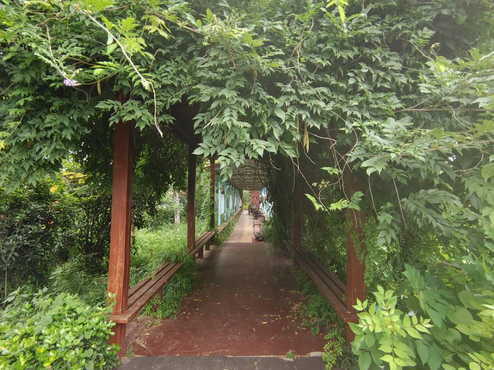 "ഺķIͬW֧̉cȼĸУ|ތWУW"