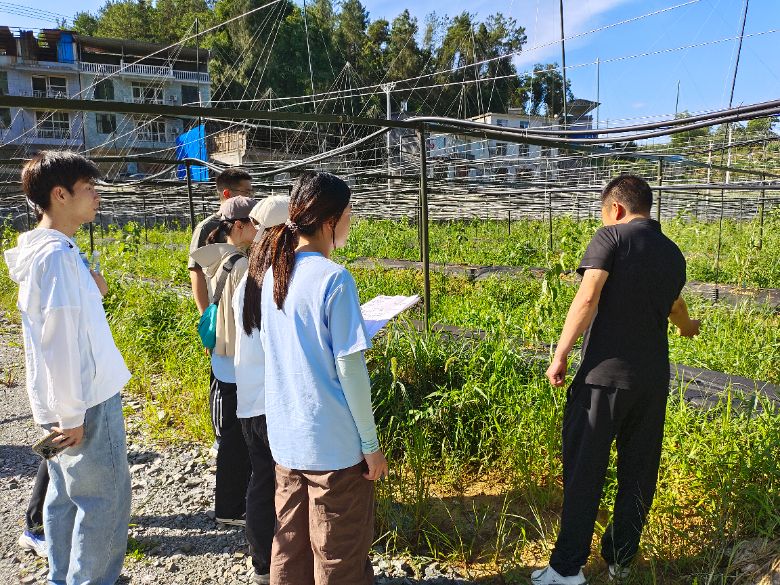 安樂(lè)井社區(qū)黨委書(shū)記羅啟斌書(shū)記為實(shí)踐團(tuán)成員介紹智慧獼猴桃果園 周文君攝