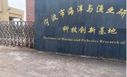 "dݞsɽݞBֳƪLld{D"