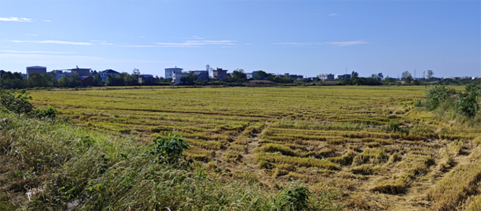 2025꺮١l(xing)(hu)(sh)`