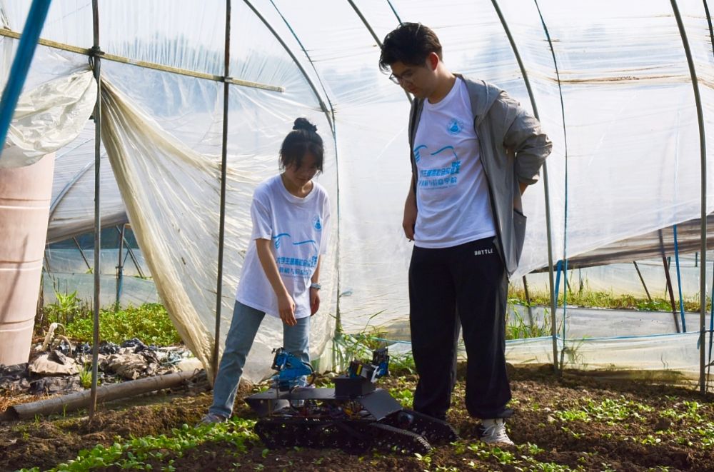 Ƽxܳ݌`rIlչՎWӋCcϢWԺʏСĿeվ`F