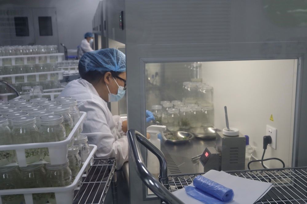 ˮl@FֲS fo׌fסMܹԢ