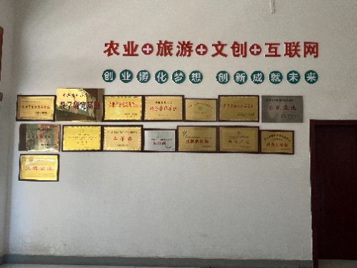 Ƽx܂y(tng)I(y) ഺl(xing)d