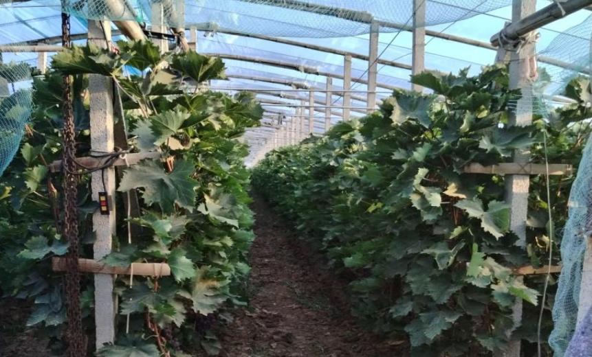 r(nng)I(y)(qing)·ഺ`Vƪ