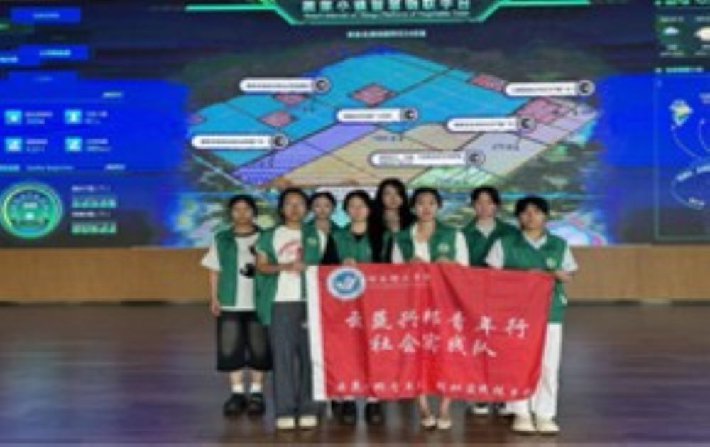 r늡ںϵld·̽ WԺd`ꠅ^۹߲С悺̻