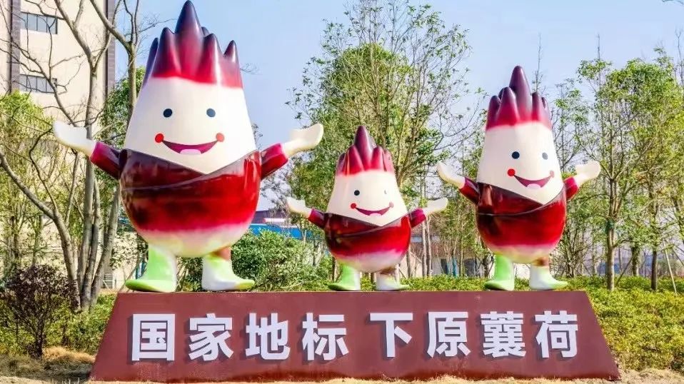 AW(xu)c(din)ɡɽ׌ԭZɏgСˡ׃a(chn)I(y)͡