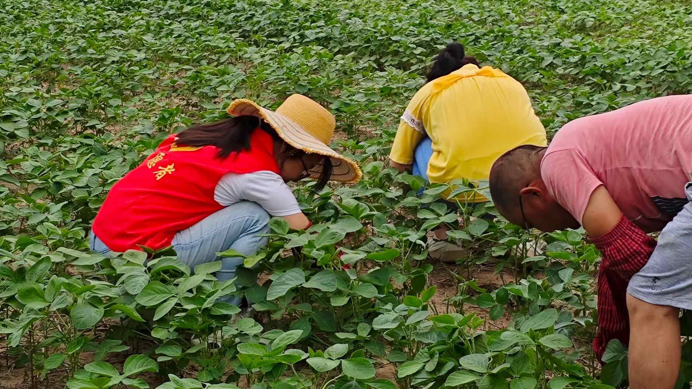 ҰnꎹWԺноl`F}_չr