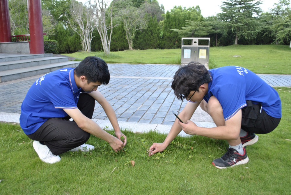 ߵ˼nhWԺʏֲ̈F^m_չУ^ֲɼ