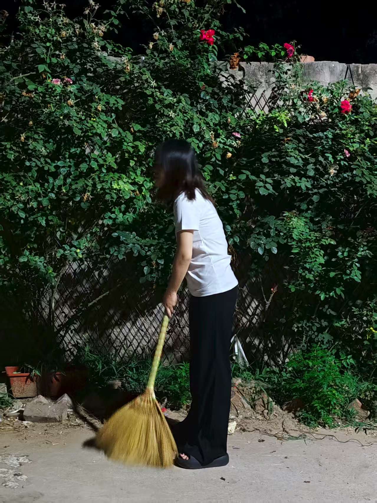 KƼWƌWԺ_չlҰdld`Є