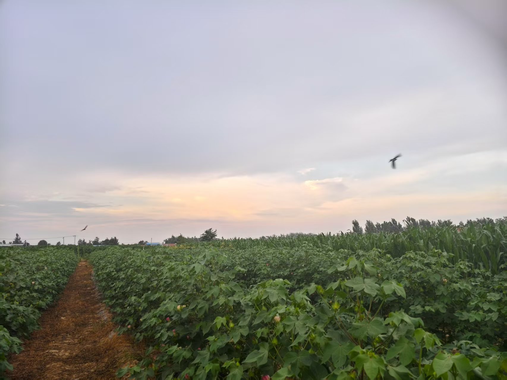 l(xing)d ഺr|ɽ|ƼWl(xing)ԮFff_չl(xing)d{(dio)Ќ`