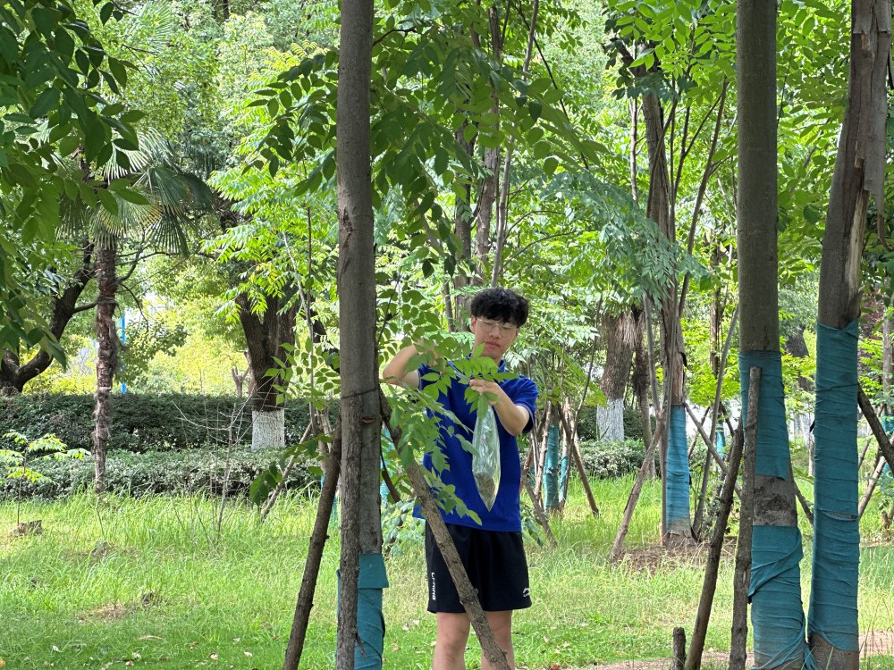 ߵ˼nhWԺֲ̈F_չֲ{cɼԼ˱