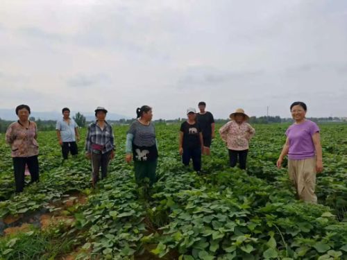 gnÌW(xu)I(lng)ഺl(xing)