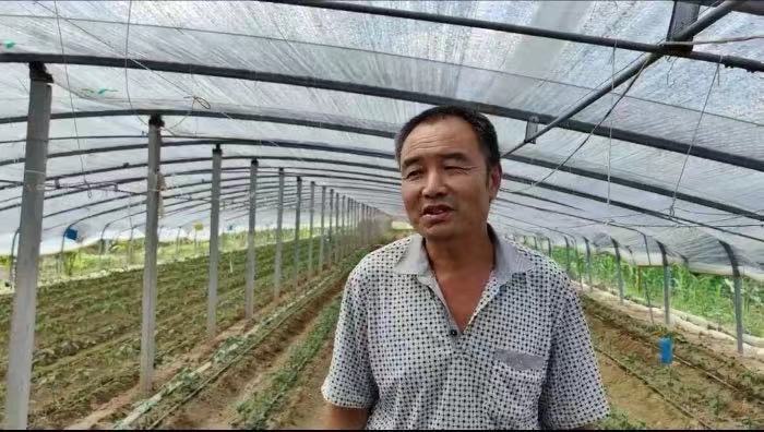 ɽ|WGҰѭۙ{ЈF׷ۙЙC߲˵ľGɫE