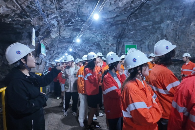 ЇVI(y)Wȫ̿߱T`Fɽ|𶼽]I(y)ӖWУ_չ`