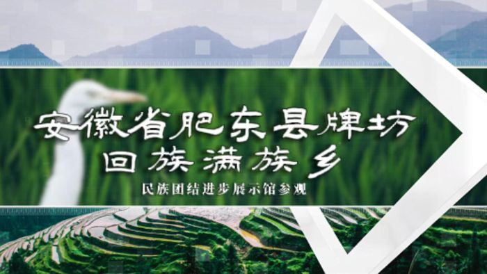 ϾW(xu)̩݌W(xu)Ժtʯ񡱸ʖ|Ʒl(xing)̽干ڌ(sh)`߻ӌ(sh)Ч