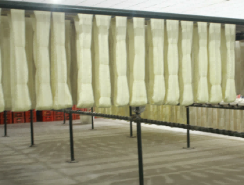 "գazIaIĂcܴa" ̩bWԺ`F{ЂyzIFD