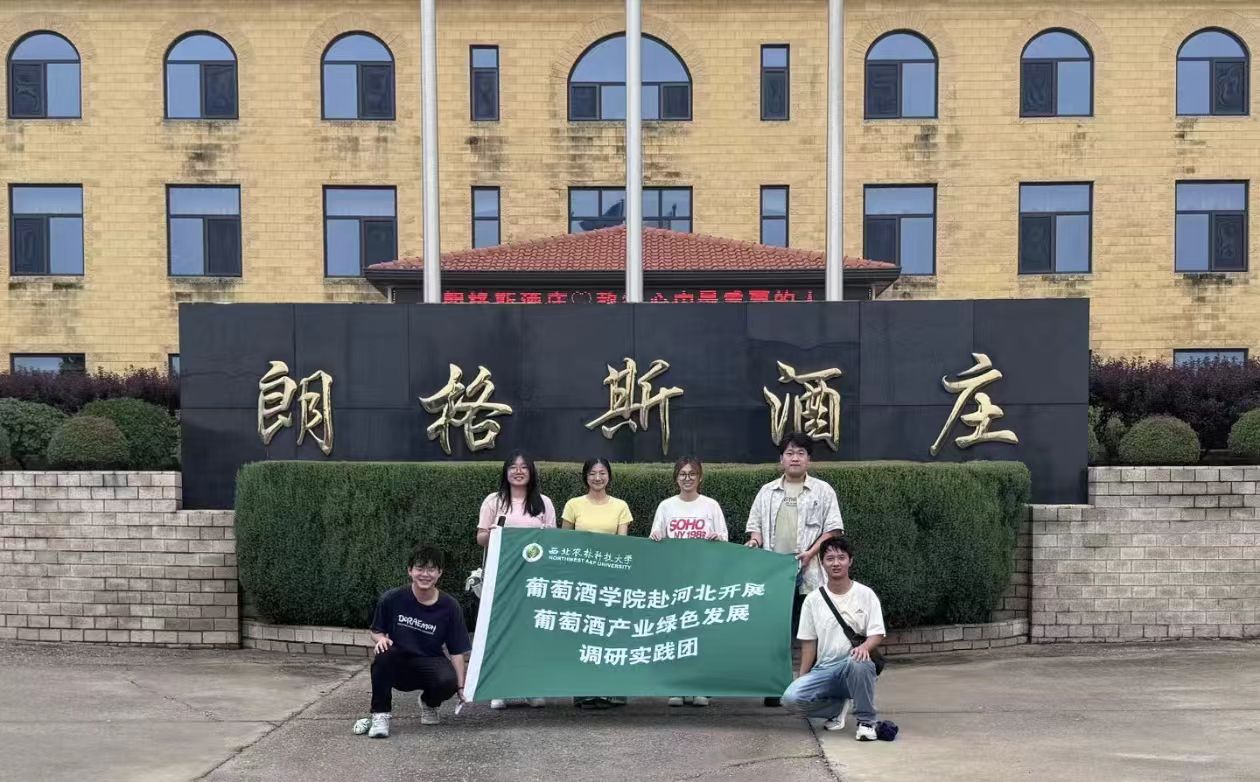 rѾƌWԺWӸ茍` ̽ԴѾcGɫlչ