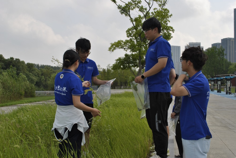 ߵ˼nhWٸʮｭaɼֲﲢƘ˱ aϢ