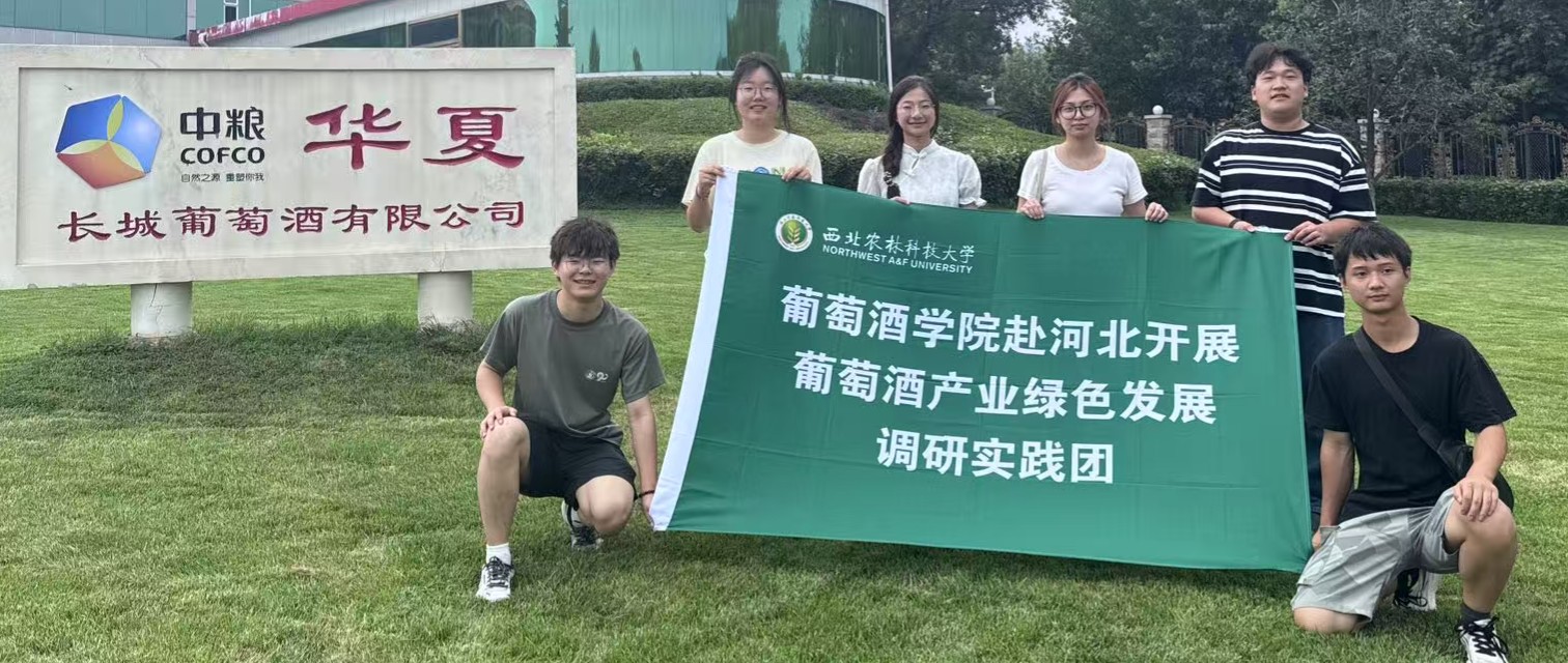  мZALѾfƼxL(fng)GɫI(lng)ЇѾƪ