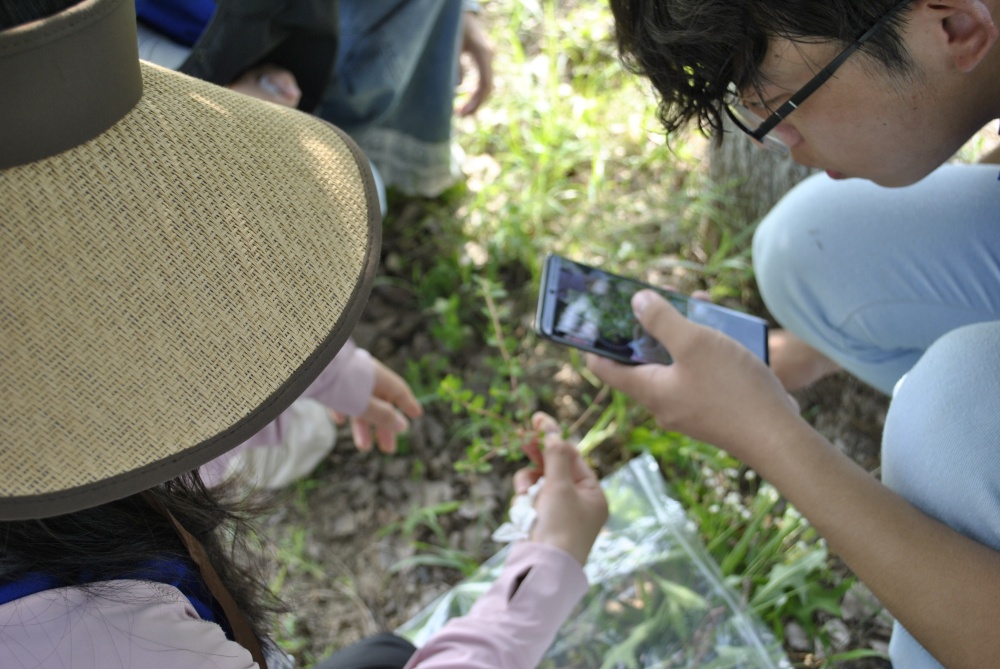 ߵ˼nhWӸʮｭɼֲﲢƘ˱ ׃h̷eز