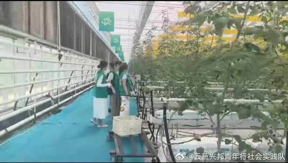 ƼPL@rںVƪWԺd`̽L۹߲˲[