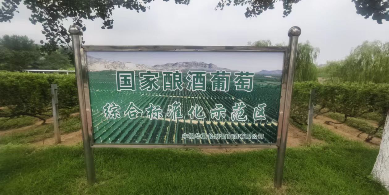 rֿƼWѾƌWԺWӲa^`Y