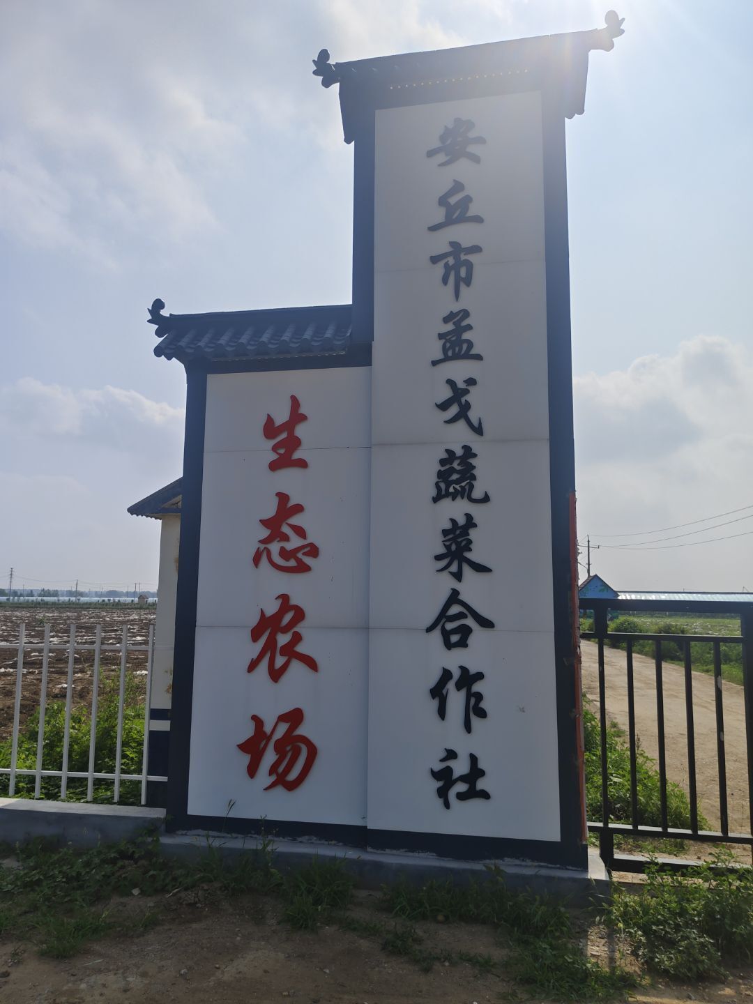 еĽLˎl(xing)С(sh)`o(j)