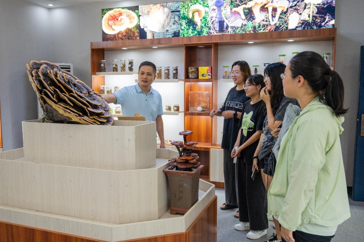 rƈF꠿ʡ{еaI ̽aIlչcld·