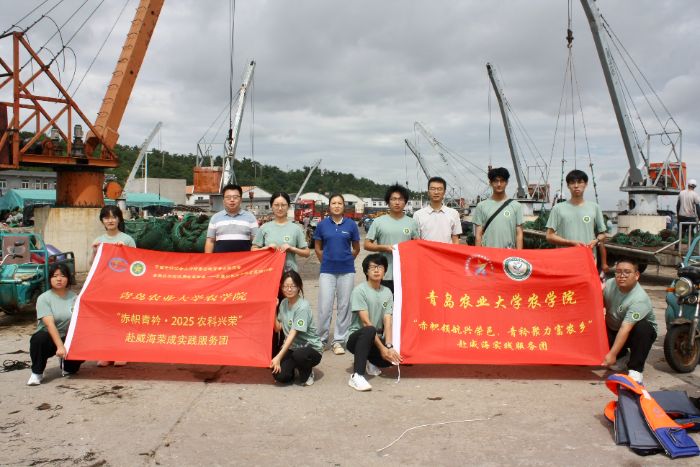 rWԺIdsƾrlsɌ`ՈFaģʽM{ЌW