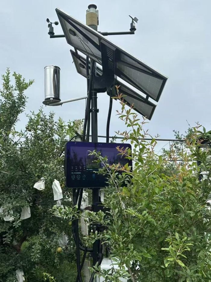 ഺl(xing)ӛ퍻r`xRʯaI(y)