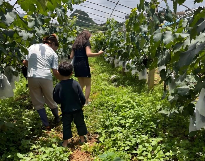 㟒ഺһٿhǧf塱Kɷ{мo