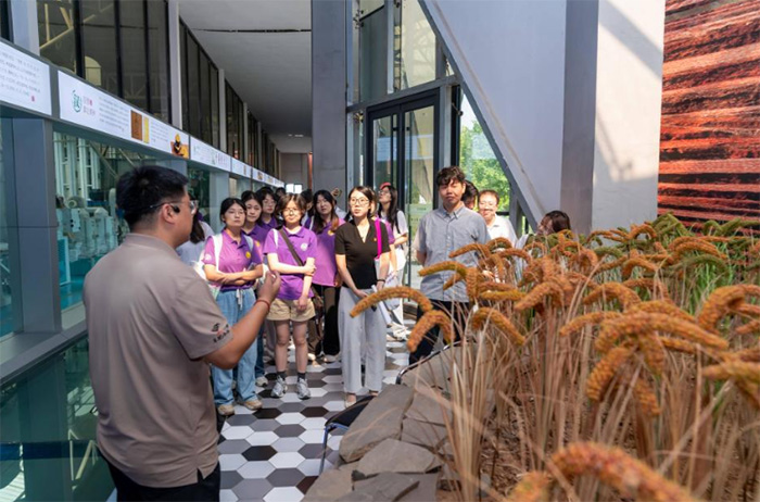 мtɫ ^MɽWc_W`Fl(xing)_չtɫ`