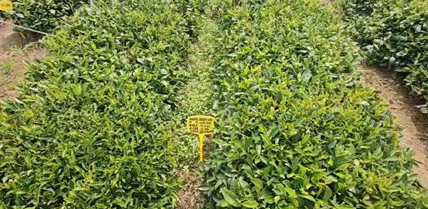 rI`F{u^N۶˷aI ̽ݘIxB·