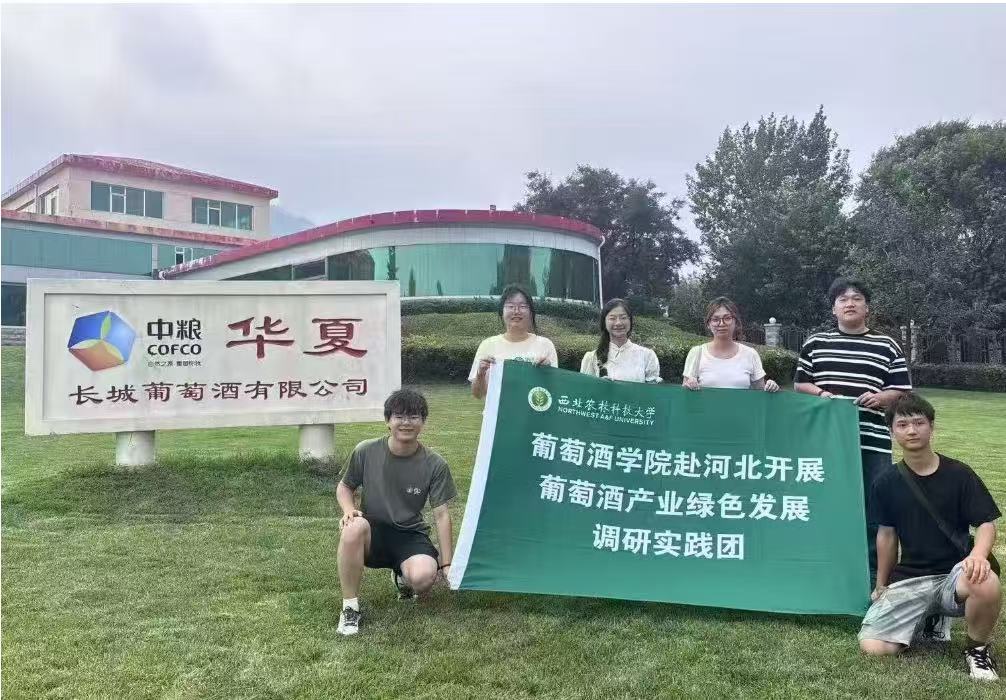 MѾƾGɫ췶 | rֿƼW{ЈFMмZALѾf