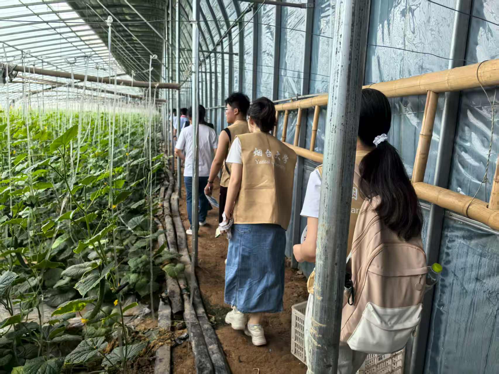 _WSʡ뺣`꠸𲽅^_չ{ЌW