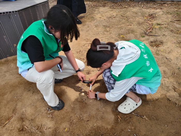 ĴWek̰ۙ־С Sӵ̺{cλ